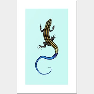 Blue-Tailed Skink Posters and Art